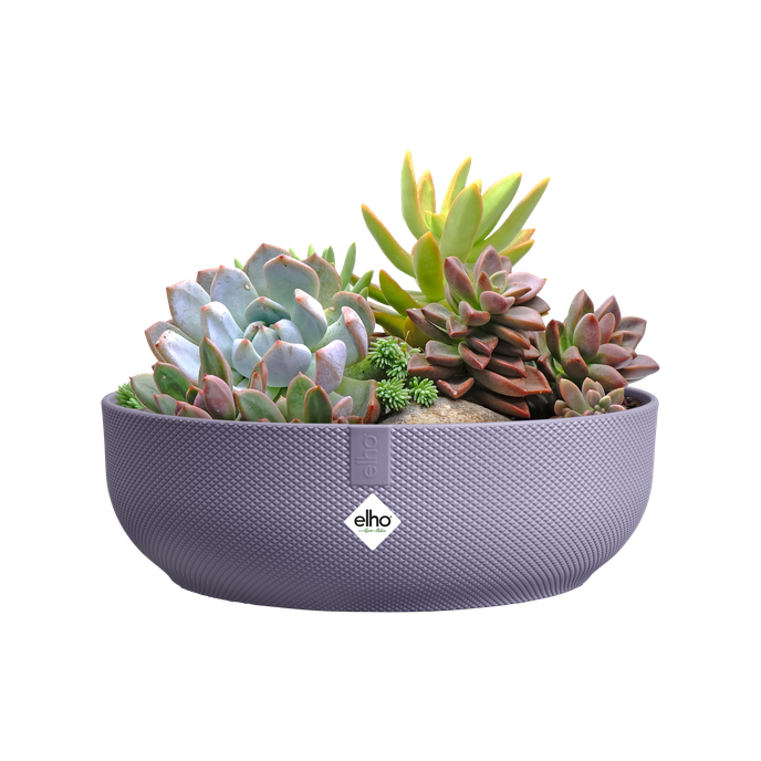 jazz bowl 28cm lavender lilac
